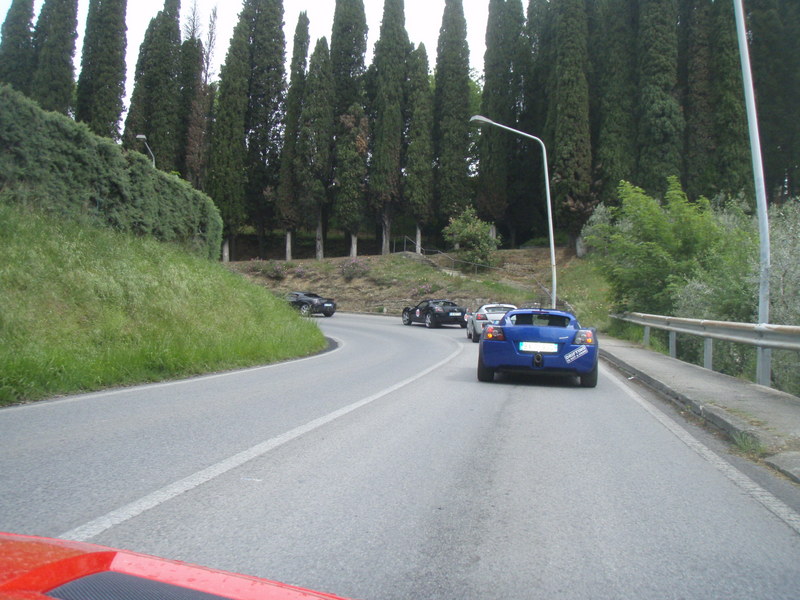 p5171338mp8.jpg